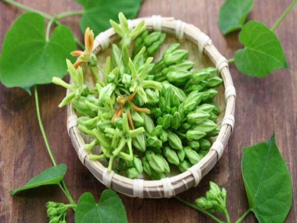 Mơ thấy hoa thiên lý đánh con gì Mơ thấy hoa thiên lý con gì