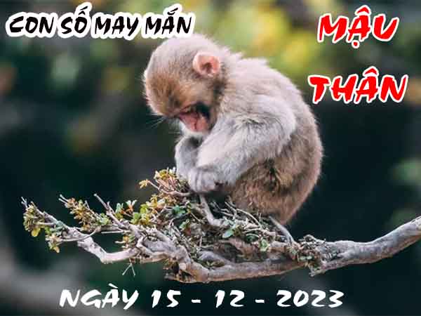 Thống kê con số may mắn tuổi Mậu Thân ngày 15/12/2023