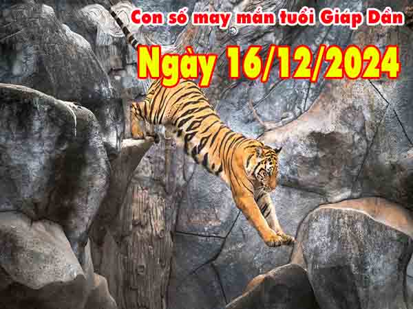 Con số may mắn tuổi Giáp Dần ngày 16/12/2024 thứ 2 hôm nay