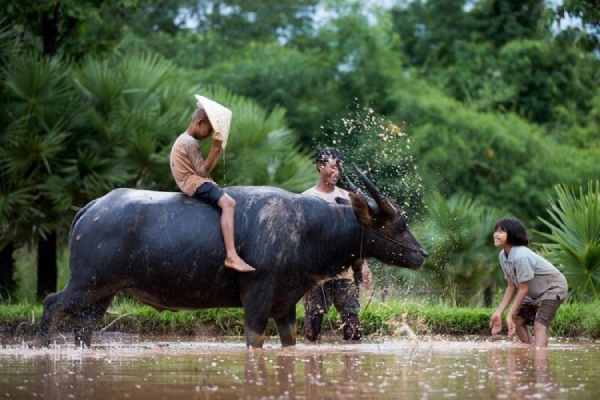 Con số may mắn tuổi Sửu ngày 8/5/2025 có gì đặc biệt?