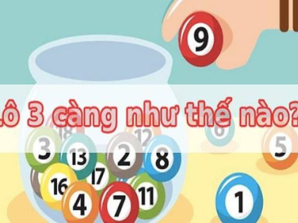 Lô 3 càng là gì? Lô 3 càng là gì?