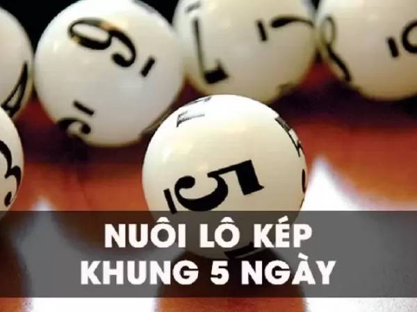 Những dạng lô kép thường được đưa vào khung 5 ngày