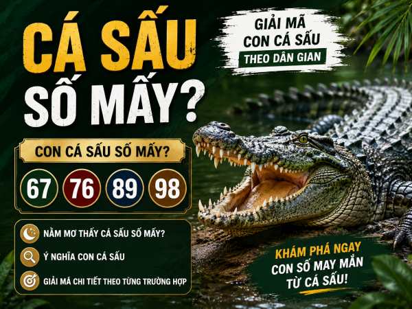 Giải mã cá sấu số mấy theo quan điểm nhân gian phong thủy Giải mã cá sấu số mấy theo quan điểm nhân gian phong thủy