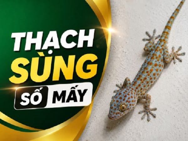 Thạch sùng số mấy theo quan niệm phổ biến?